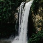 Дикий рай в Бразилии: национальный парк Жалапао